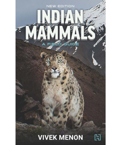 Indian Mammals