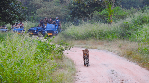 jhalana leopard park