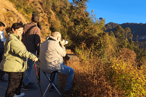 Birdwatching In Pangot