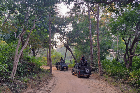 Corbett Safari Park