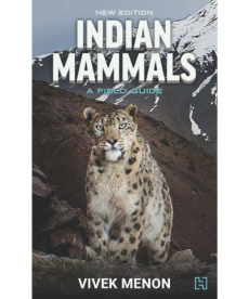 Indian Mammals