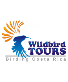 Wildbird Tours (Costa Rica Birding)