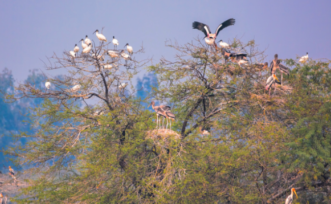 Day Excursion to Sultanpur